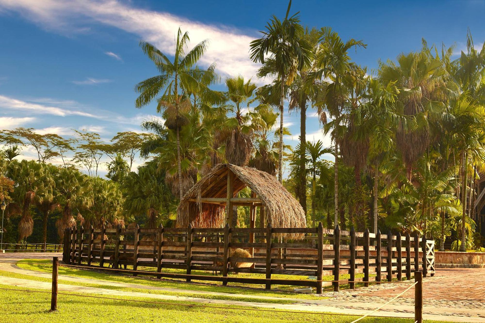 Hotel Reserva De Piedemonte Вильявисенсио Экстерьер фото